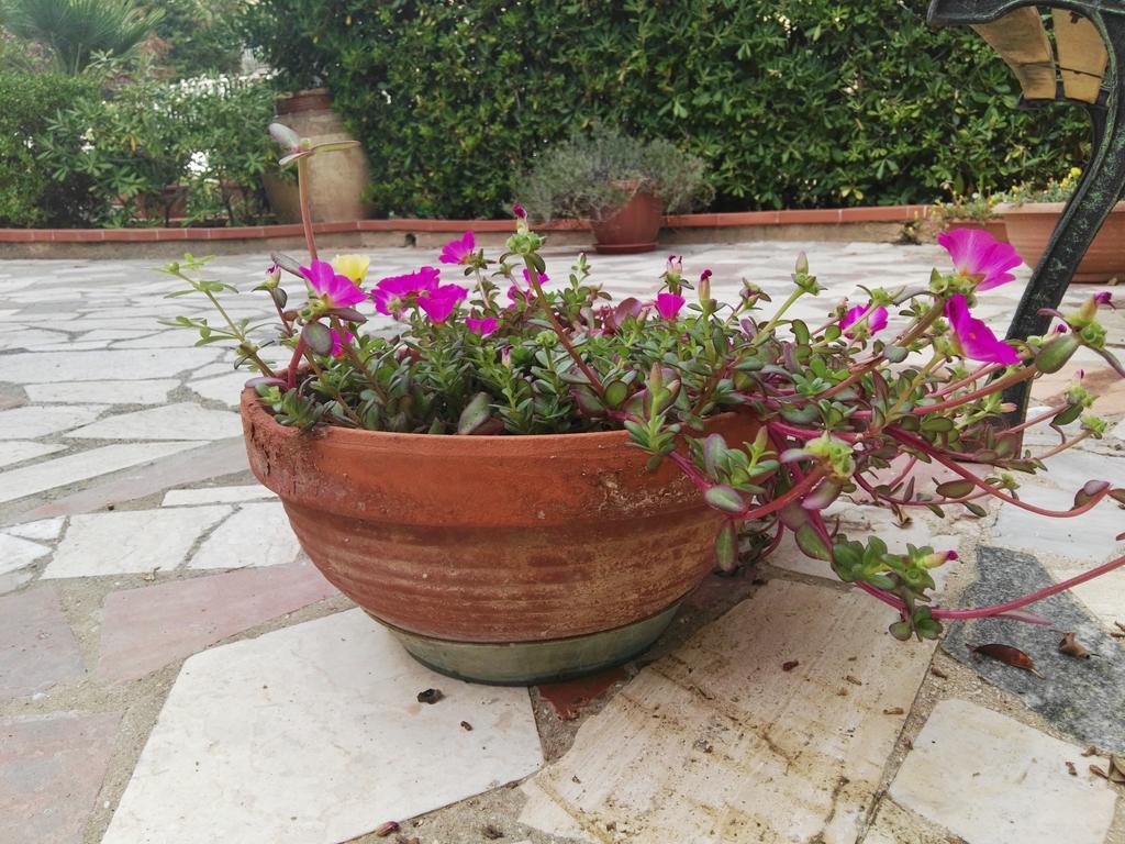 Villalba Castellammare del Golfo Ngoại thất bức ảnh