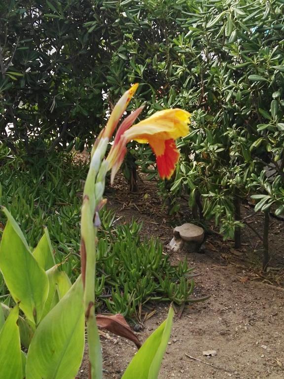 Villalba Castellammare del Golfo Ngoại thất bức ảnh